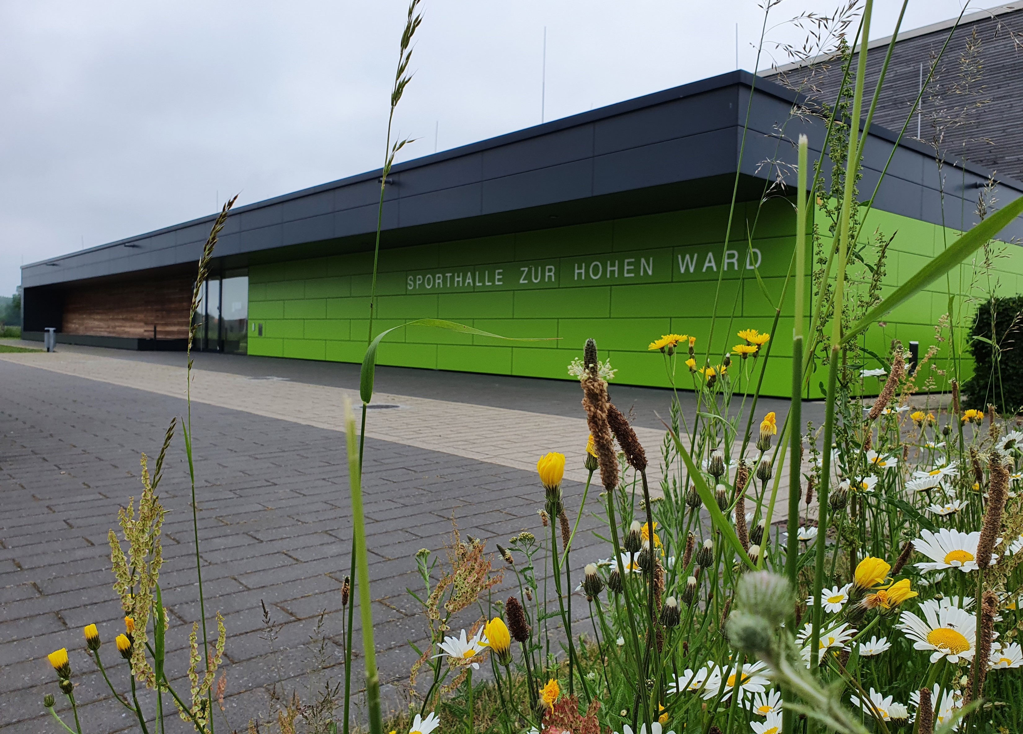 Sporthalle mit Blumen im Vordergrund