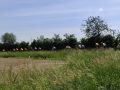 gemtour11